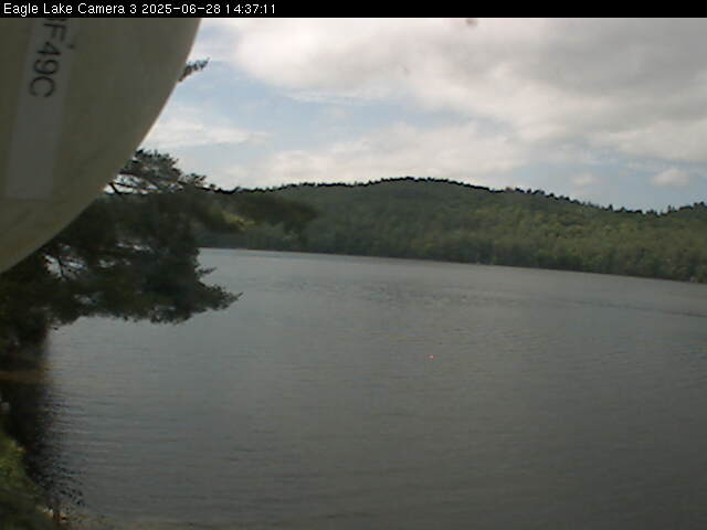 public_cam 3_25-06-28_14-37-11-81.jpg